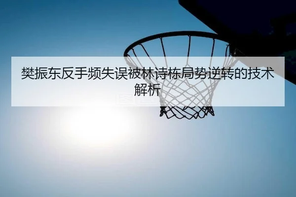 fan-zhen-dong-fan-shou-pin-shi-wu-bei-lin-shi-dong-ju-shi-ni-zhuan-de-ji-shu-jie-xi-2-801.jpg